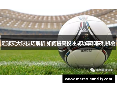 足球买大球技巧解析 如何提高投注成功率和获利机会